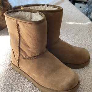 Chestnut UGG minis